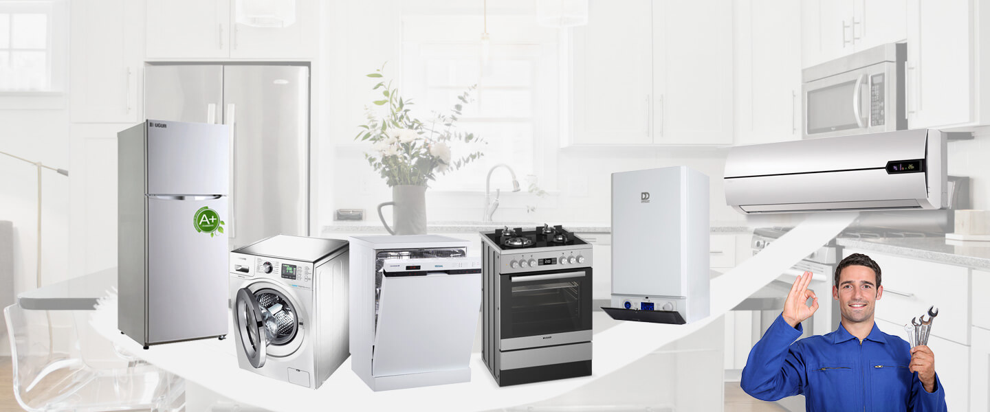 Derbent Electrolux Servisi